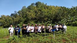 KELOMPOK TANI RUKUN SANTOSA LAUNCHING IRIGASI KABUT CERDAS